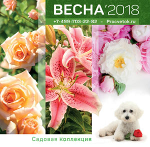 Русские семена каталог весна 2018 Русские семена каталог весна 2018